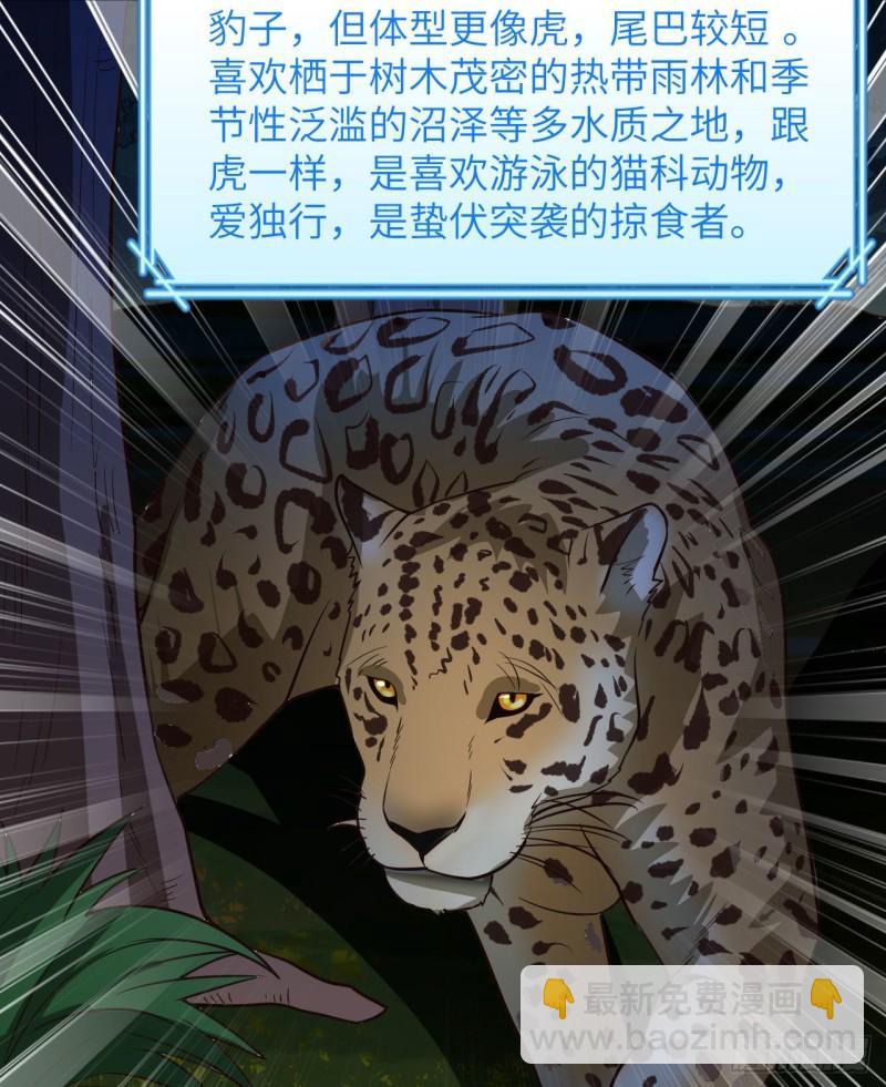 🍘我和妹子们的荒岛余生 153 步履维艰 第15页