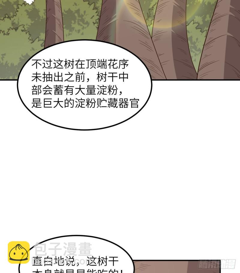 🍘我和妹子们的荒岛余生 159 能吃的树 第48页