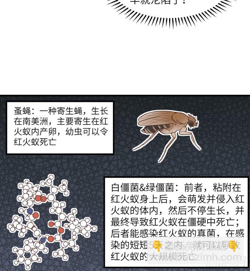 🍘我和妹子们的荒岛余生 167 祸福相依 第5页