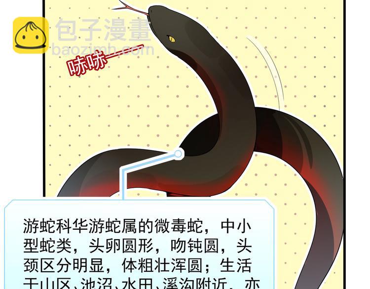 🍘我和妹子们的荒岛余生 第2话 燃起篝火 第15页