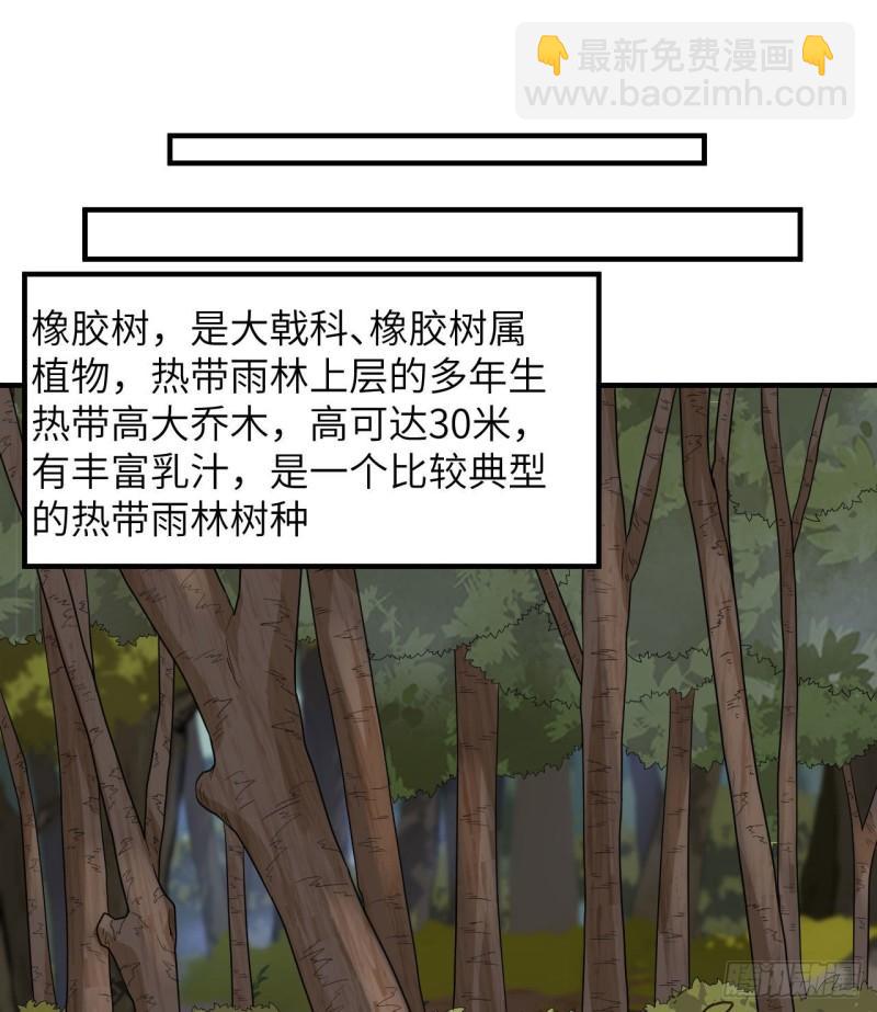 🍘我和妹子们的荒岛余生 189 制作橡胶 第15页