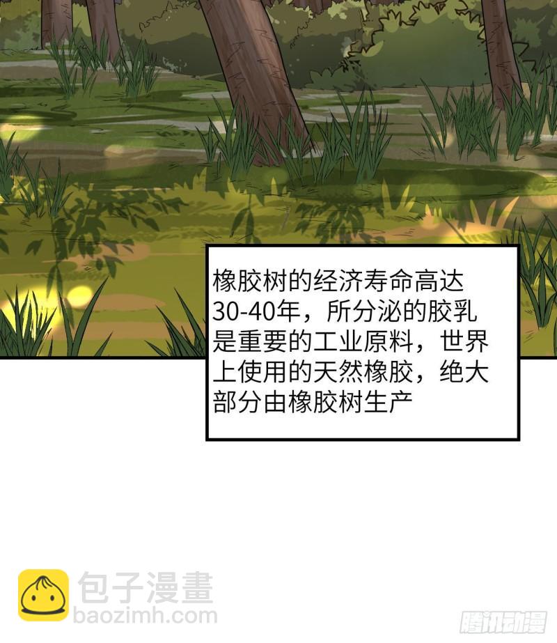 🍘我和妹子们的荒岛余生 189 制作橡胶 第16页