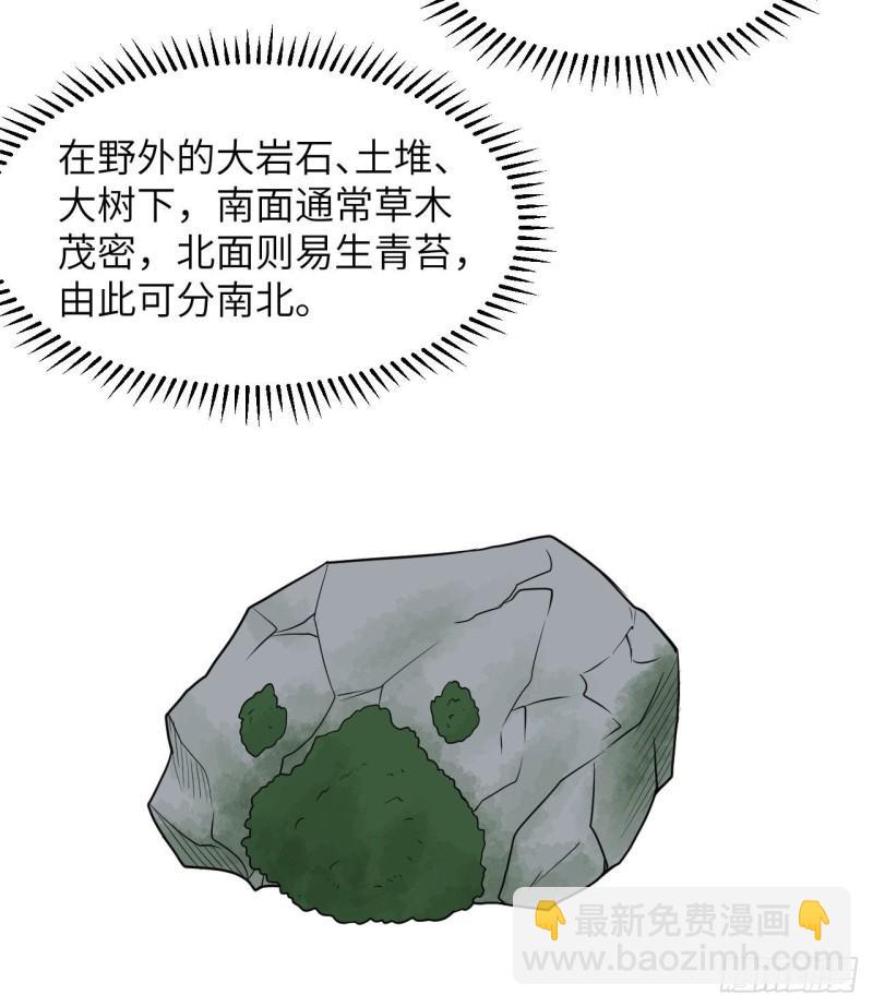 🍘我和妹子们的荒岛余生 225 好地方！ 第5页