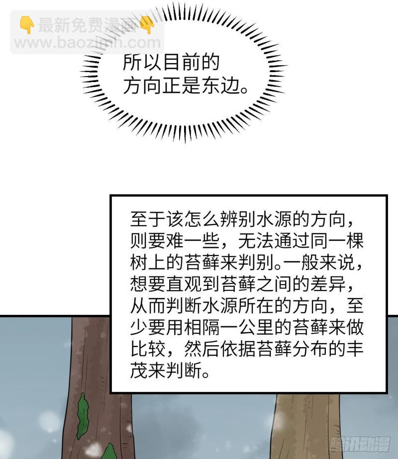 🍘我和妹子们的荒岛余生 225 好地方！ 第6页