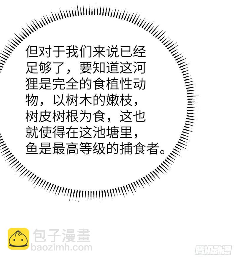 🍘我和妹子们的荒岛余生 229 驯鹿踪迹 第43页