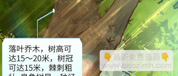 🍘我和妹子们的荒岛余生 第38话 生活如此多娇 第12页