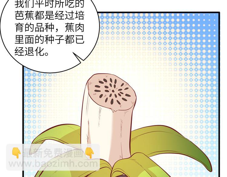 🍘我和妹子们的荒岛余生 第8话 制作捕鱼陷阱 第35页