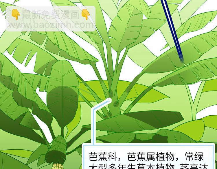 🍘我和妹子们的荒岛余生 第8话 制作捕鱼陷阱 第7页