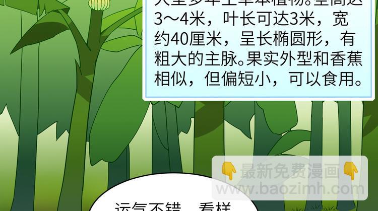 🍘我和妹子们的荒岛余生 第8话 制作捕鱼陷阱 第8页