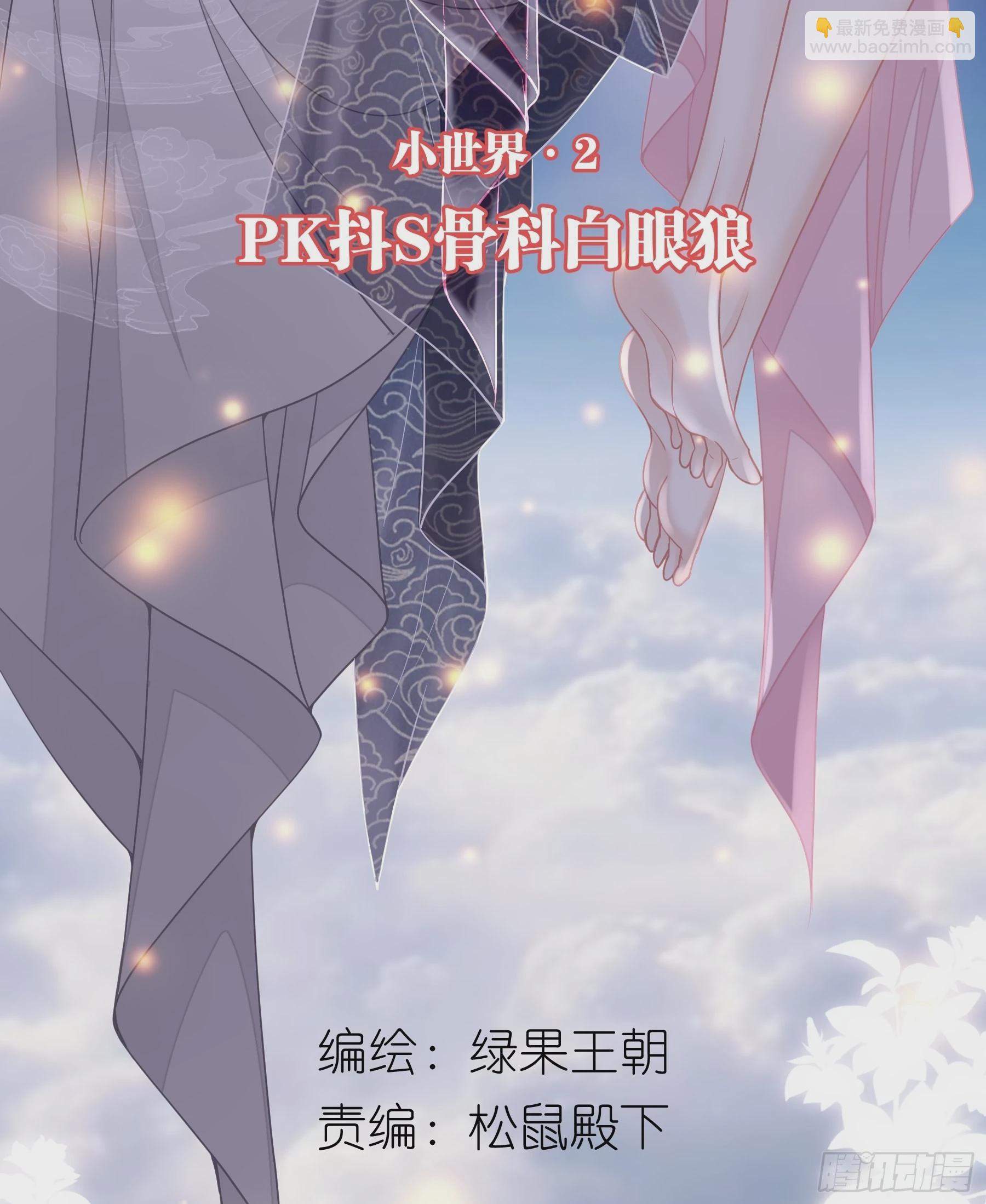 🍘我怀疑系统喜欢我 10-姐夫家的死士 第2页