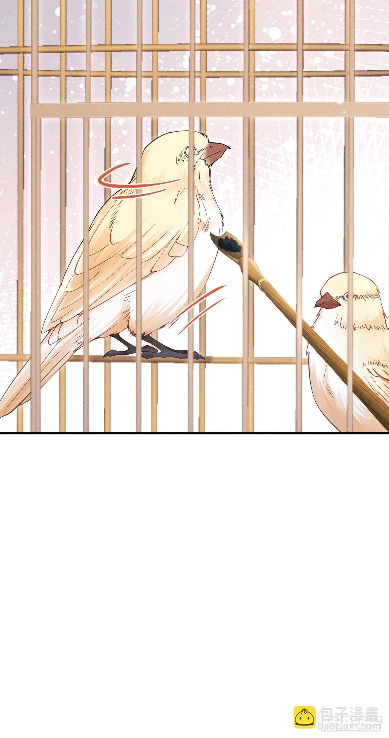 167.赠鸟(1/2)-第175话