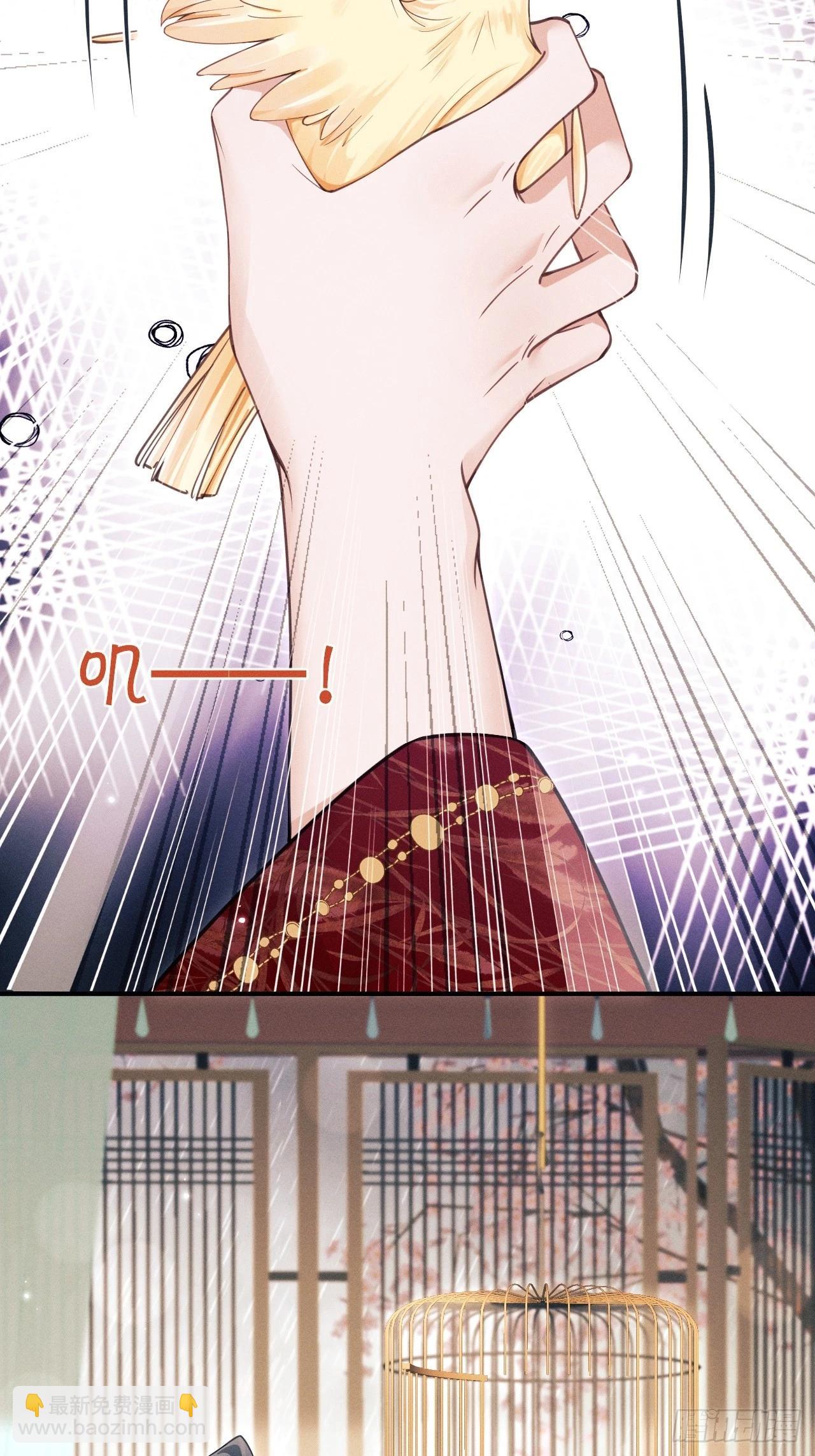 167.赠鸟(1/2)-第175话