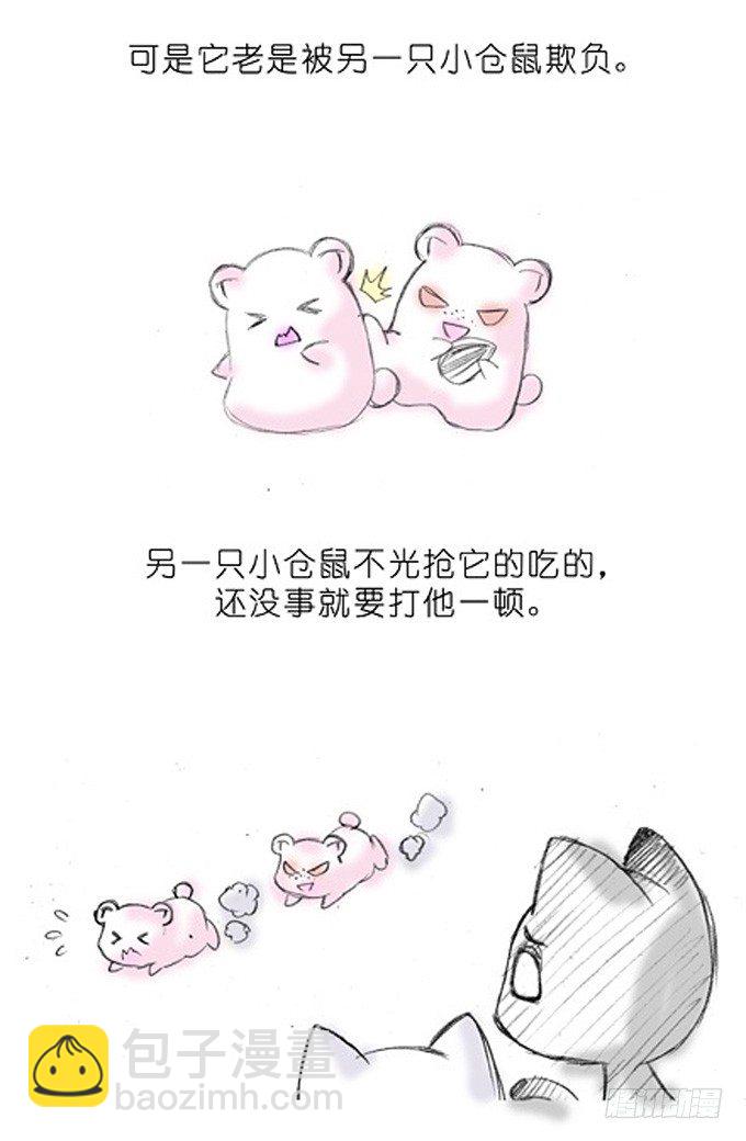 🍘我家大师兄脑子有坑 番外：飞星喵3.你们喵不懂 第2页