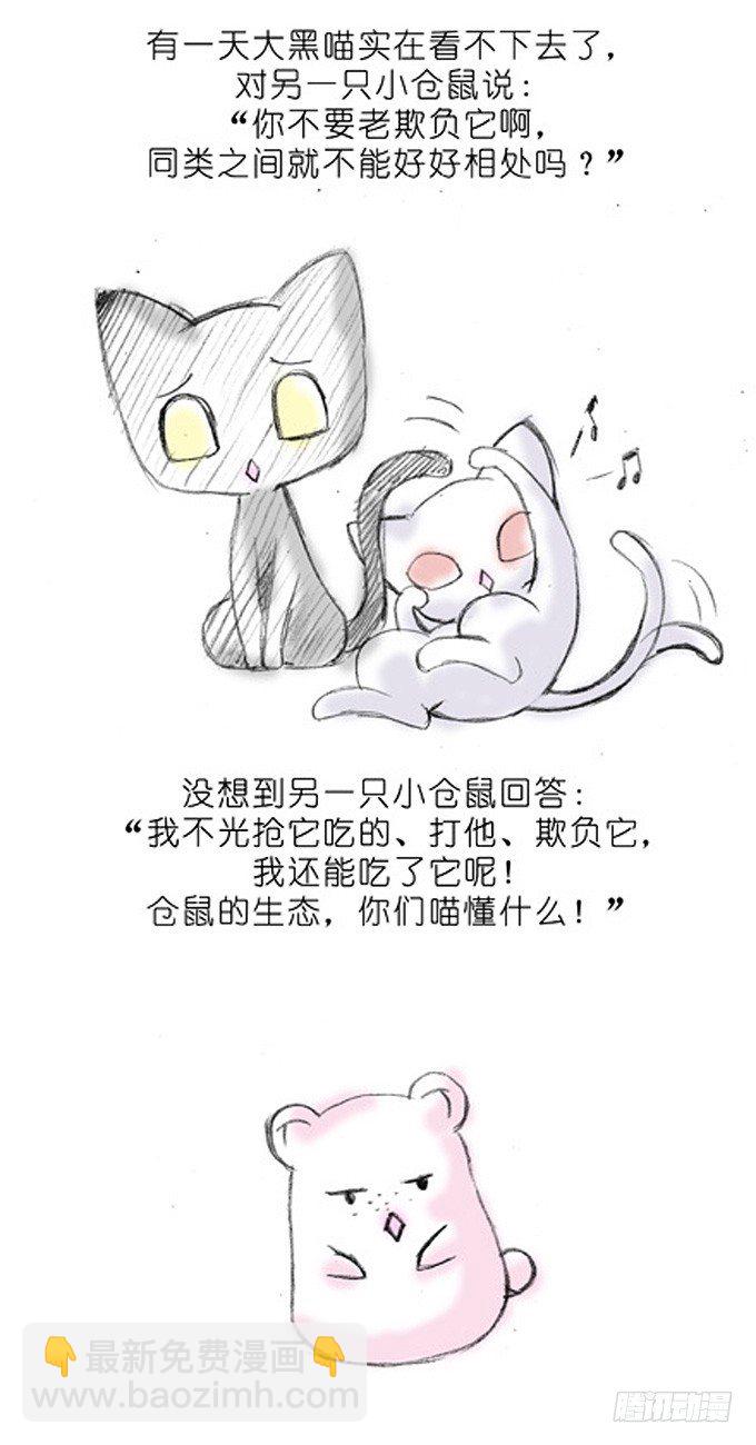 🍘我家大师兄脑子有坑 番外：飞星喵3.你们喵不懂 第3页