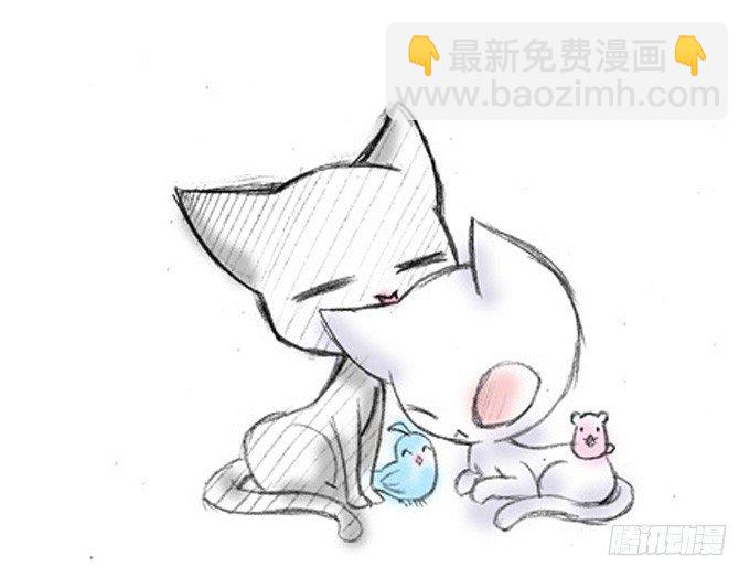 🍘我家大师兄脑子有坑 番外：飞星喵5.如果大家是动物 第4页