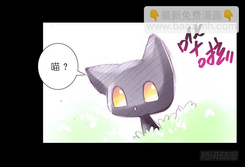 🍘我家大师兄脑子有坑 番外：忽然养只猫3 第6页