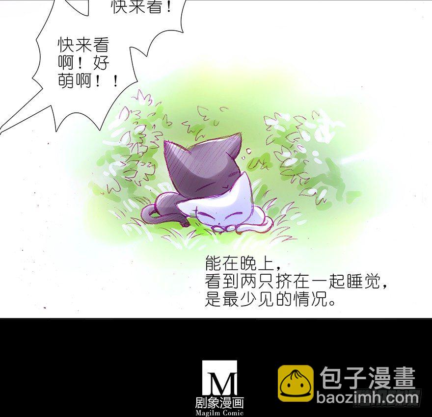 🍘我家大师兄脑子有坑 番外：忽然养只猫 六 第9页