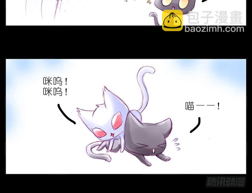 🍘我家大师兄脑子有坑 番外：忽然养只猫 八 第4页