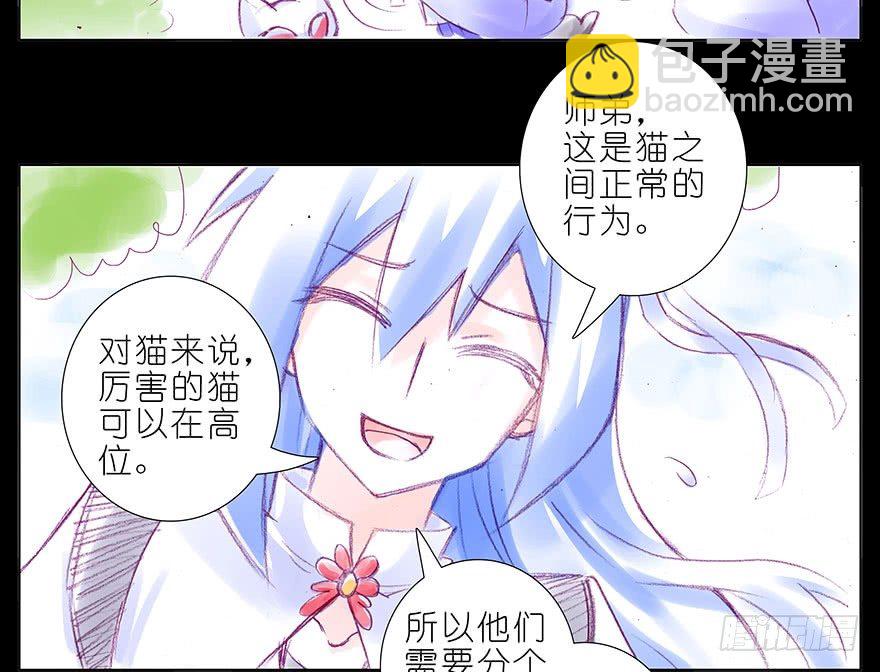 🍘我家大师兄脑子有坑 番外：忽然养只猫 八 第6页