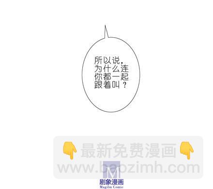 🍘我家大师兄脑子有坑 第45坑 为什么连你都一起跟着叫 第14页