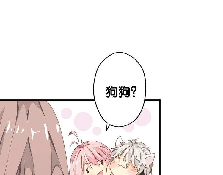 第2话 狗狗突然变男神？(1/2)-第3话