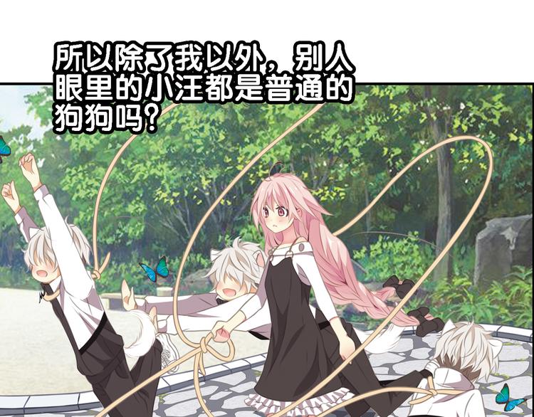 第4话 遛狗大作战(1/2)-第5话