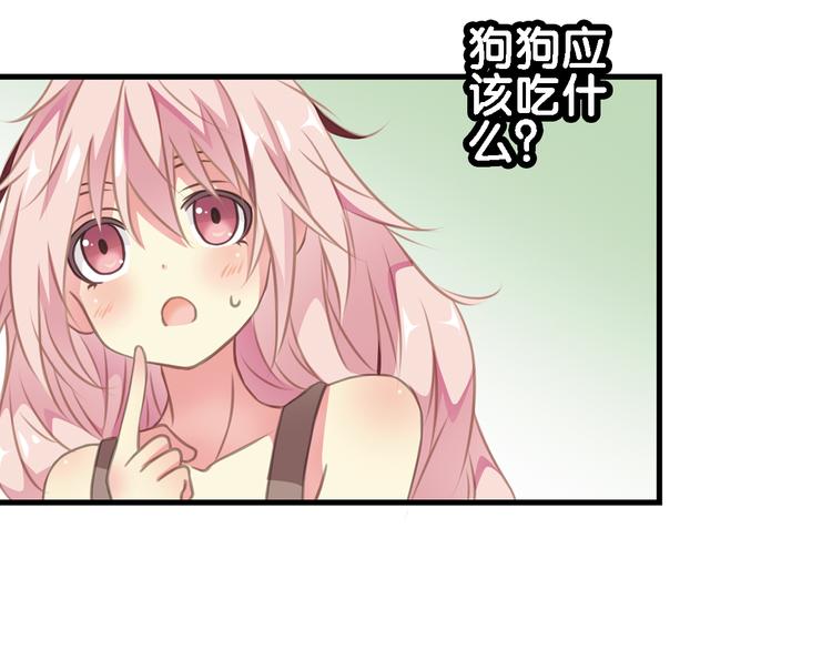 第4话 遛狗大作战(1/2)-第5话