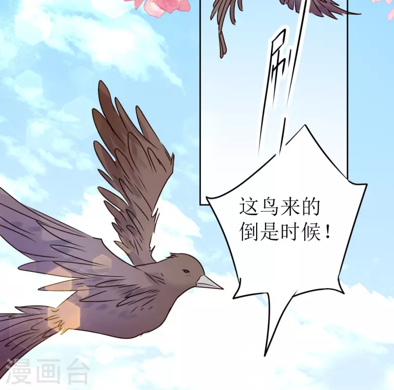 第12话 他是大变态！-第13话