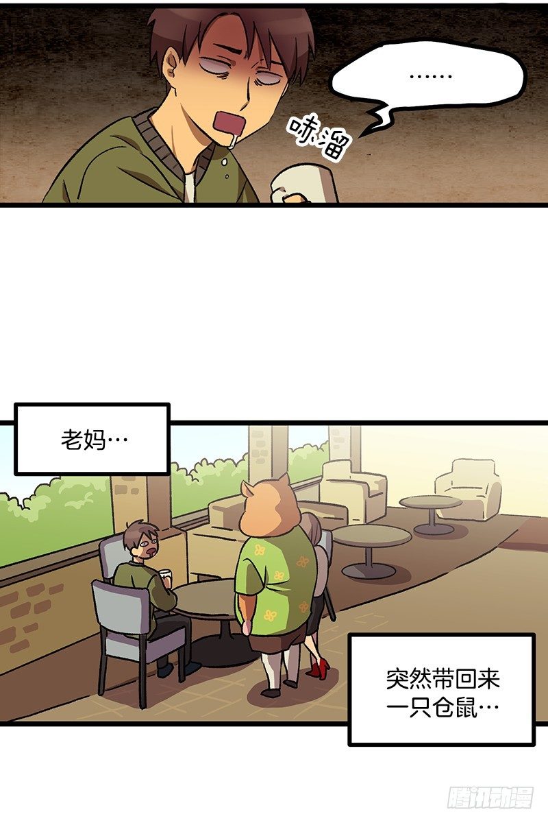 新的家庭成员-第1话