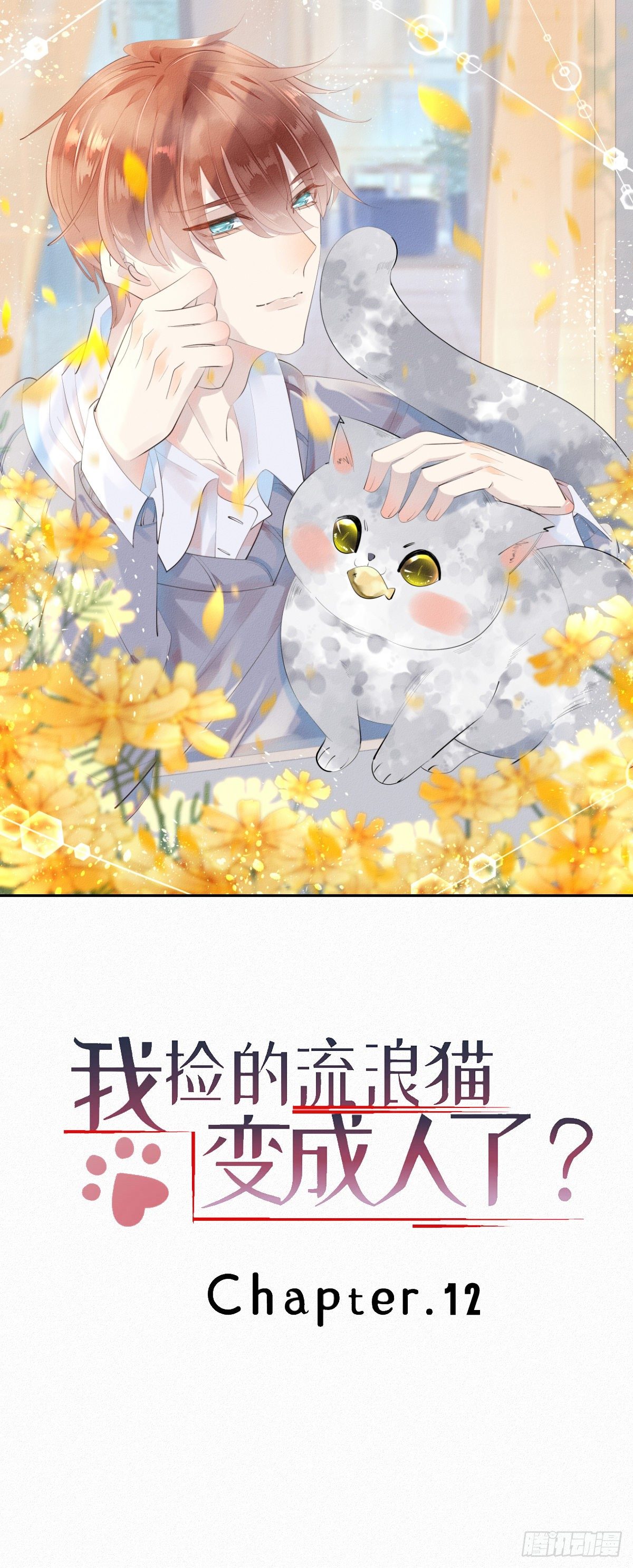 12.晚安-第13话