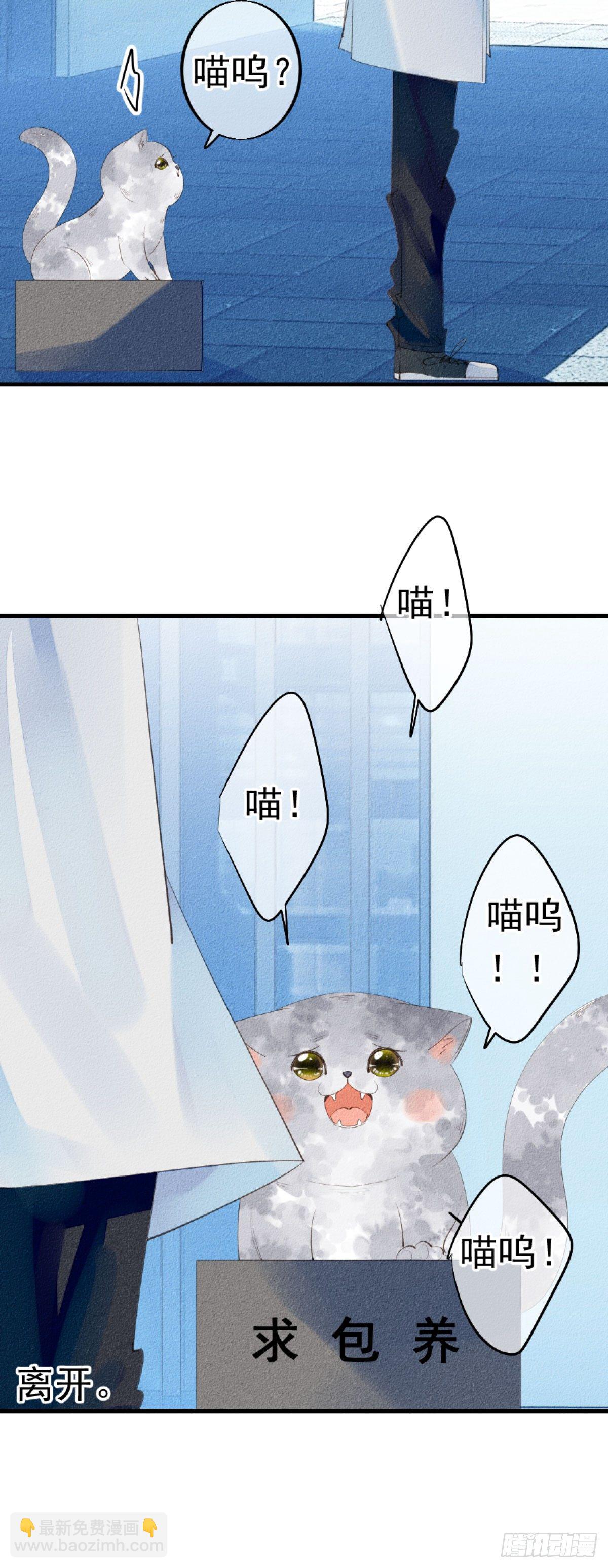 2.人家根本没想把你捡回家去。-第3话