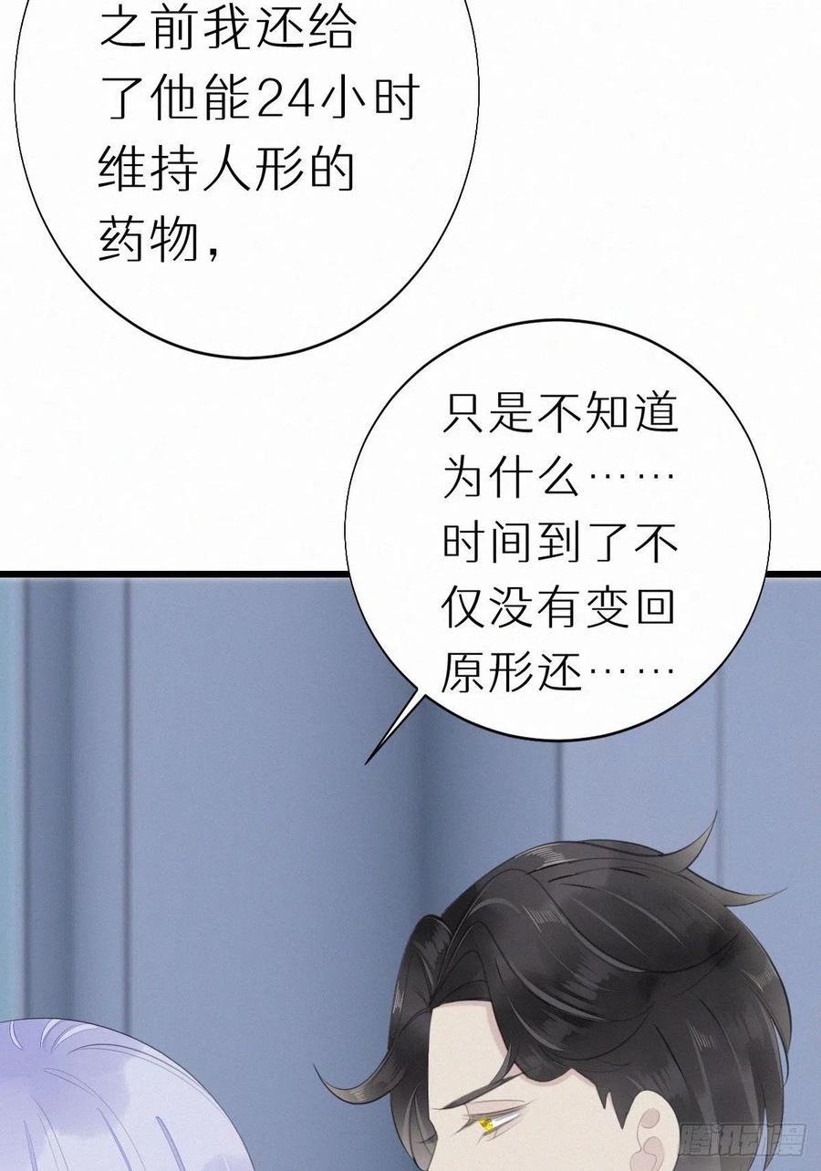 54.快把我变回去-第63话