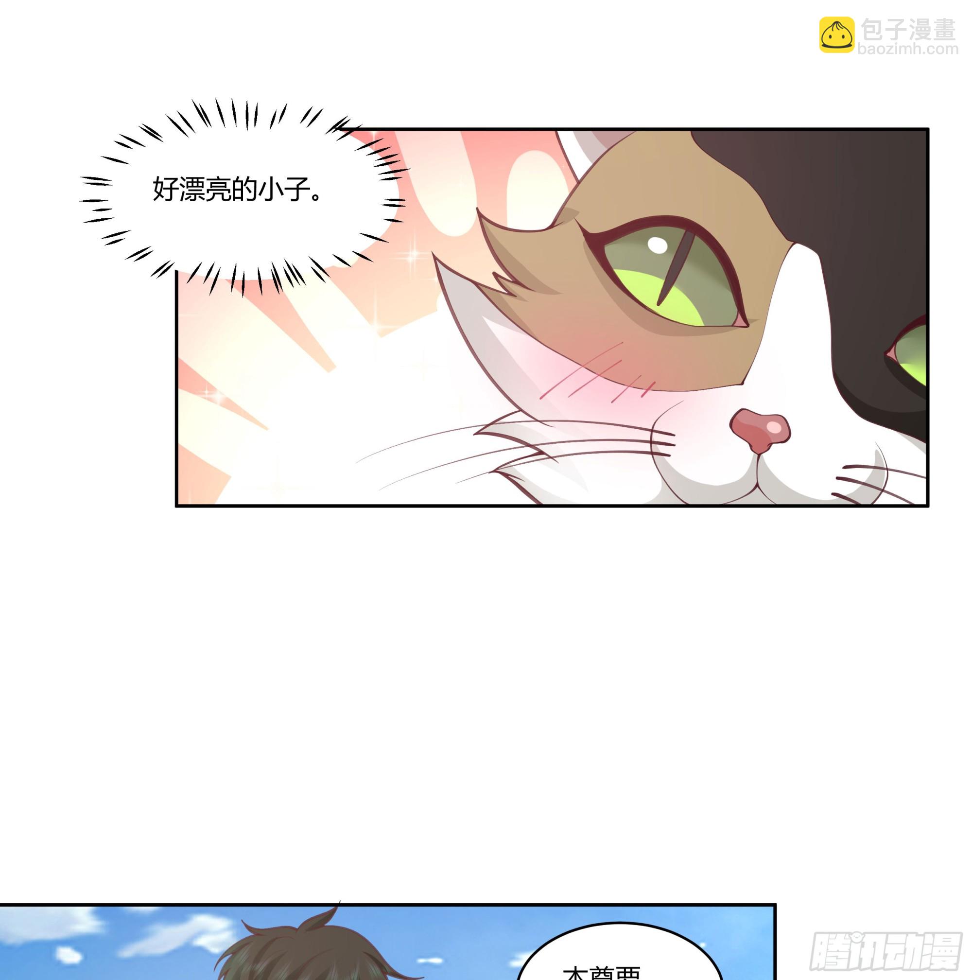 小语与三花猫(1/2)-第75话