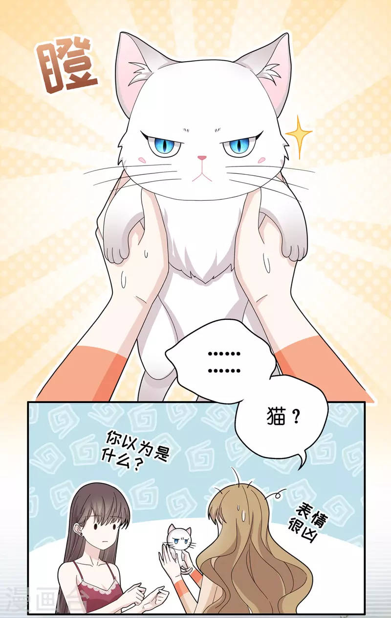 第41话 隐秘的过去4-第43话