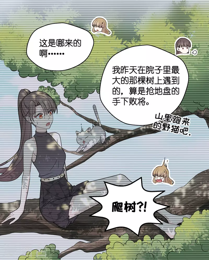 第41话 隐秘的过去4-第43话