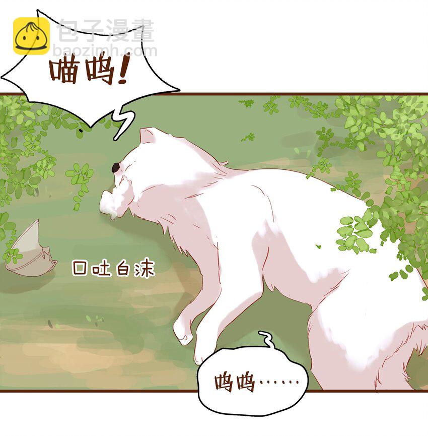 003 我们从不卖假药(1/2)-第3话