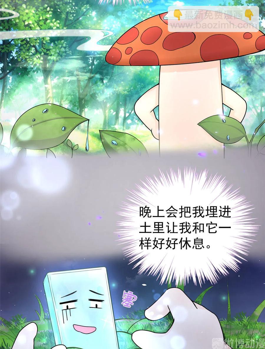 第125话 哪来的蘑菇精(1/2)-第131话