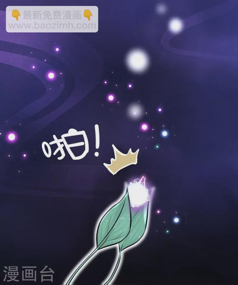 第41话-第41话