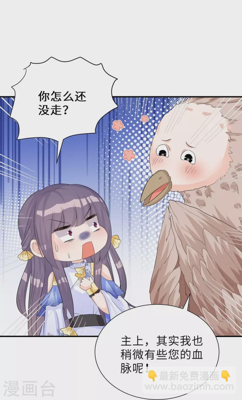 第94话-第95话