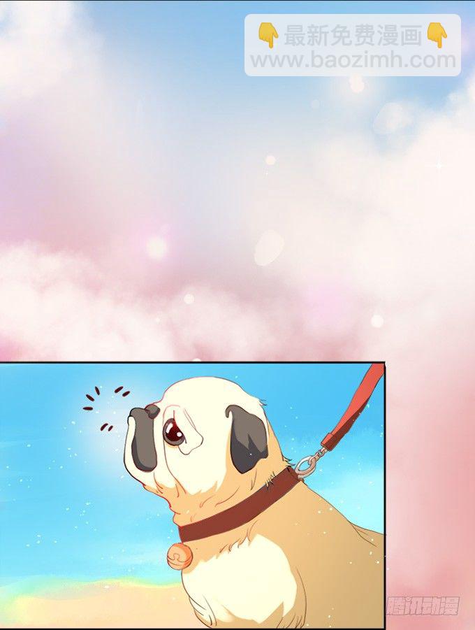 骑士的荣耀(1/3)-第1话