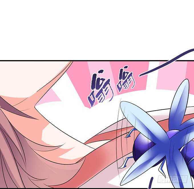 美男们的正牌之争(1/2)-第107话