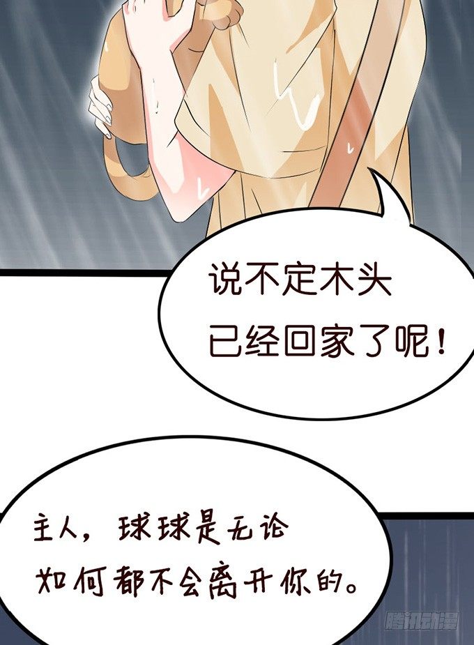 全新的形象(1/2)-第13话