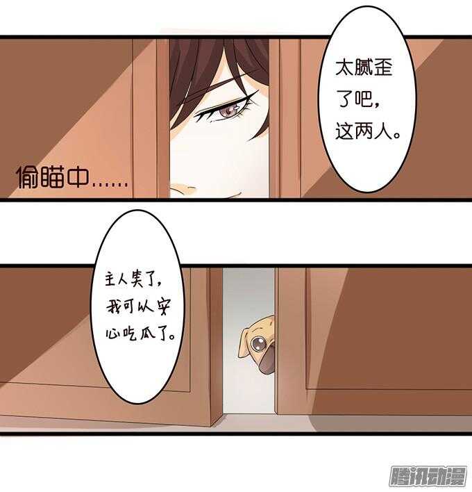 神秘的身影(1/2)-第31话