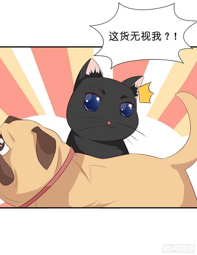 沉睡在他的怀里(1/2)-第81话