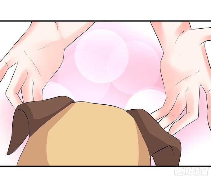 神秘的客人(1/2)-第95话