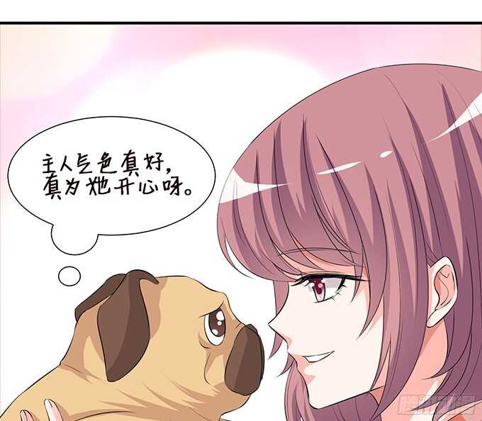 神秘的客人(1/2)-第95话
