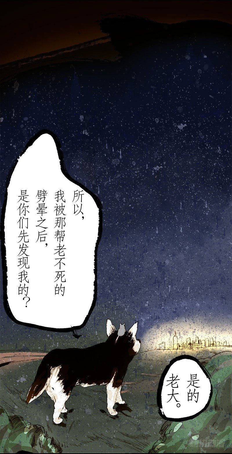 爷的鸡呢？！-第3话