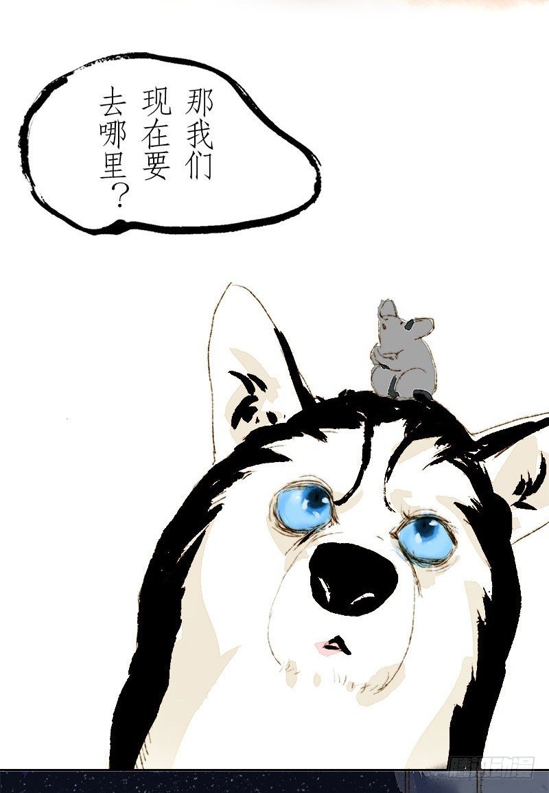 爷的鸡呢？！-第3话
