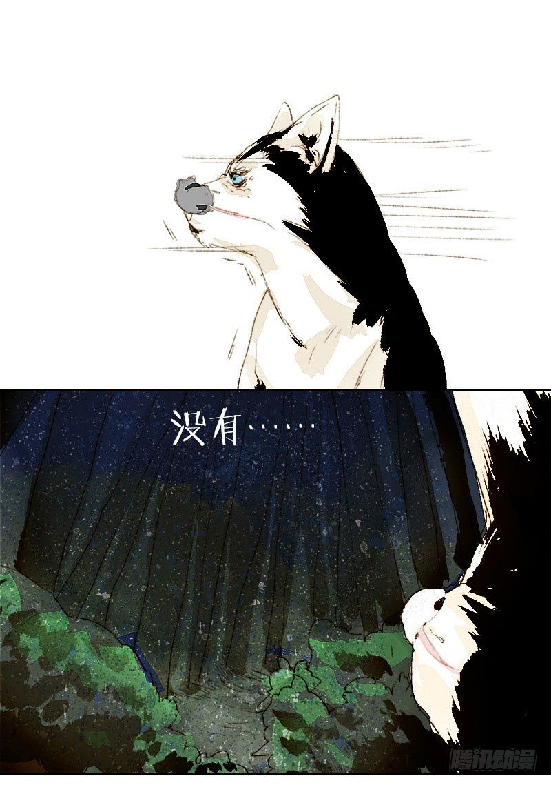 爷的鸡呢？！-第3话