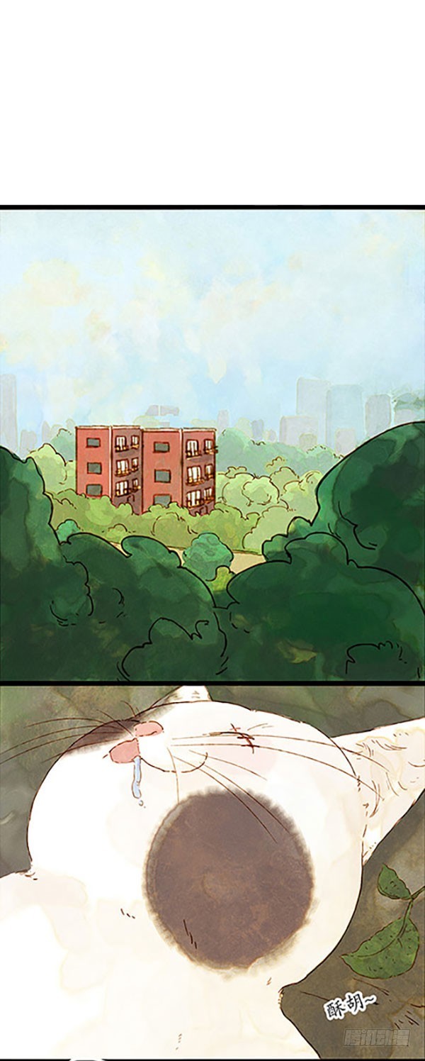 哈哈哈！小爷我回来啦！-第45话